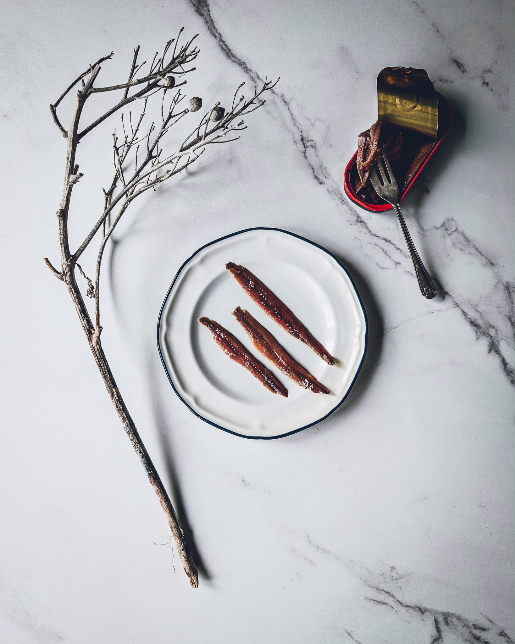 Small plate with three anchovies on a marble table. On the table there is also an open can of anchovies, a small fork and a dry wooden branch.