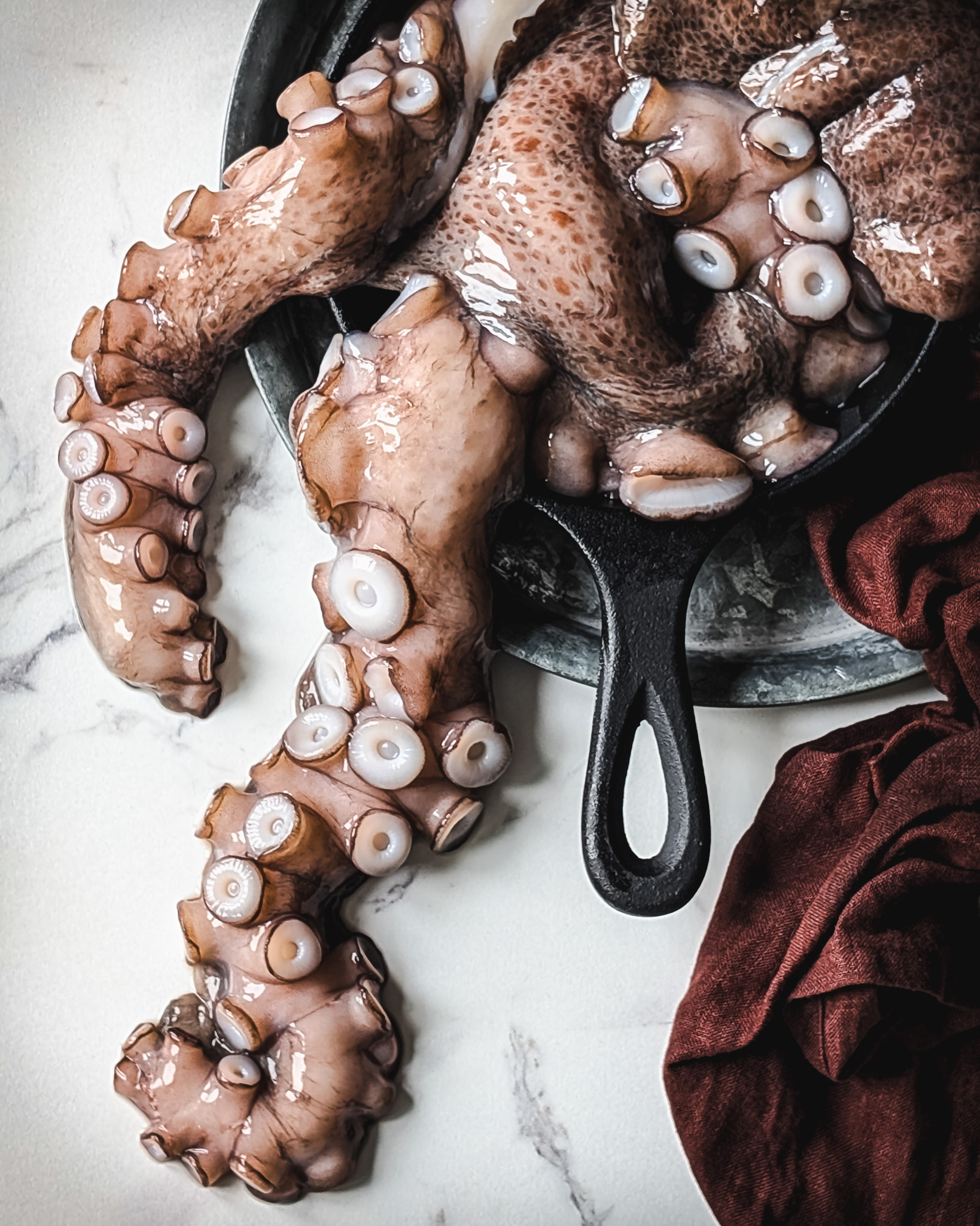Raw octopus tentacles