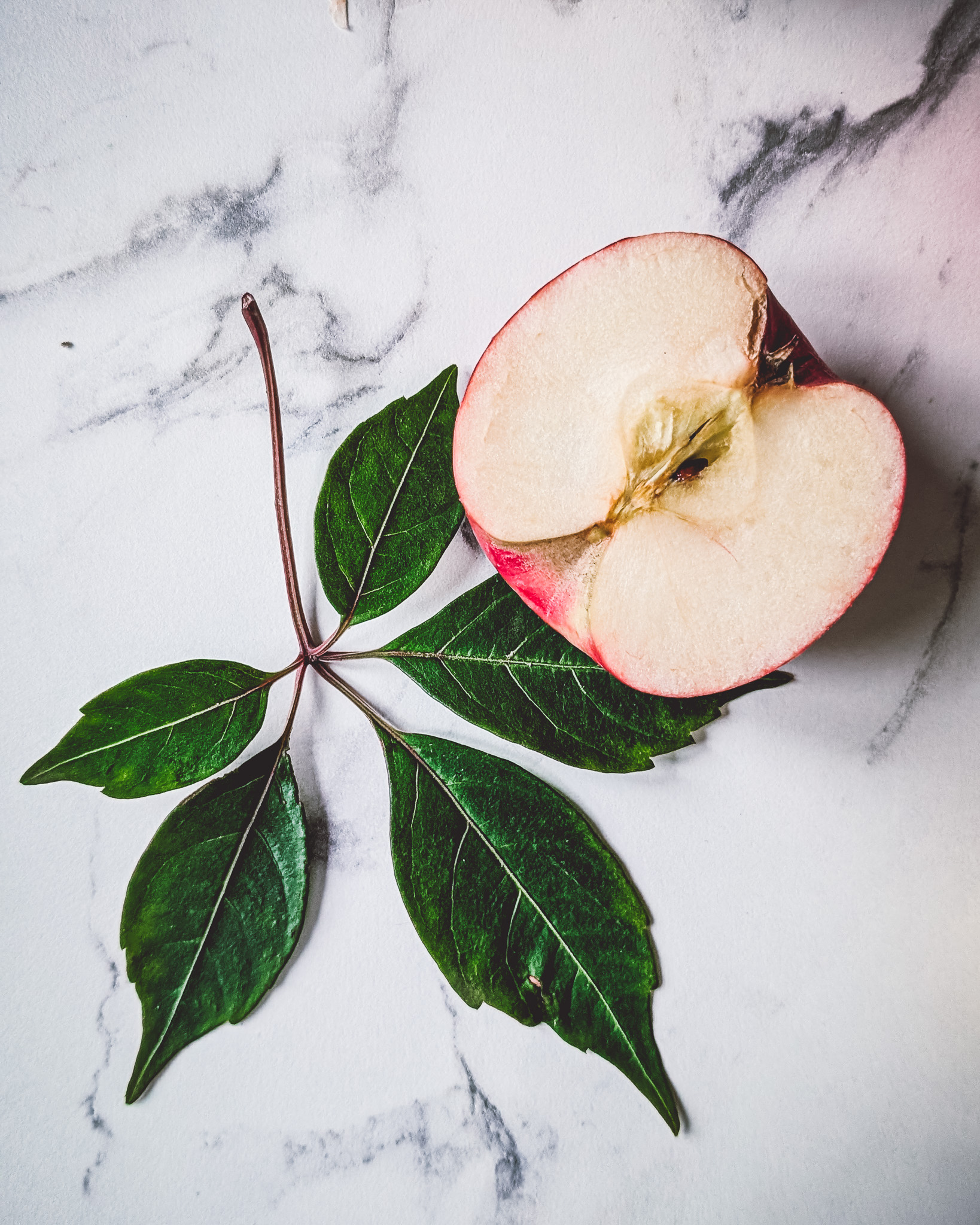 Half an apple and some leaves on a marble table