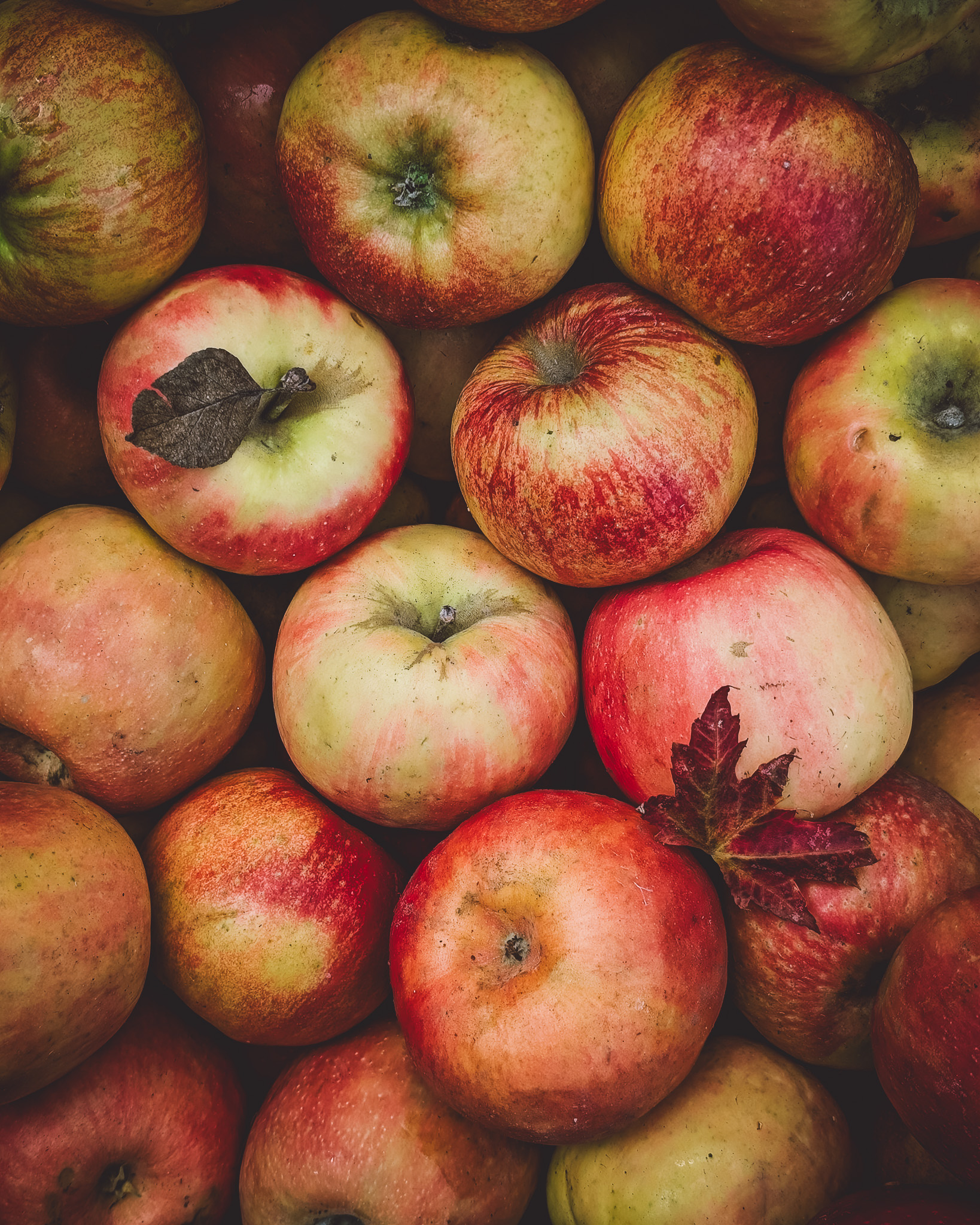Apples in a crate